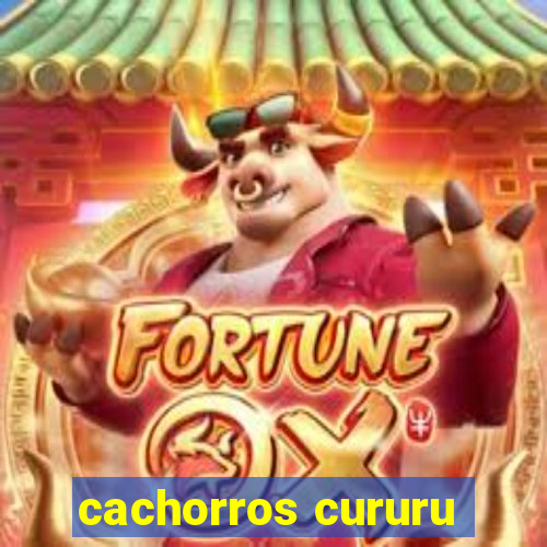 cachorros cururu